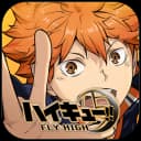 HAIKYU FLY HIGH